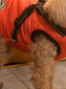 Luxus™ Koiran takki - koiran ulkopuku